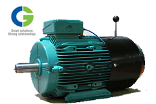 cromptonbrakemotor