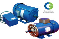 Crompton_fhpmotors