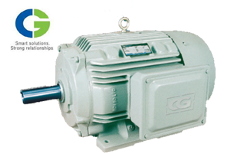 crompton_threephasemotors